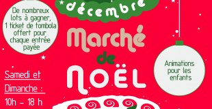 Marché de Noël 2023 de Nuits-St-Georges (21)