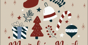 Marché de Noël 2023 de Beaucouzé (49)