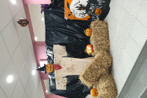 Marché d'halloween 2023 de Saint hilaire le Vouhis