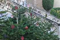 Salon de Noël à l'Abbaye de Saint Polycarpe 11