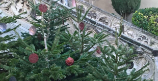 Salon de Noël à l'Abbaye de Saint Polycarpe 11
