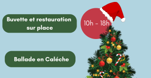 MARCHE DE NOEL 2023 DE PUJOLS 33350