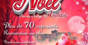 Marché de Noël d'Aubais 2023