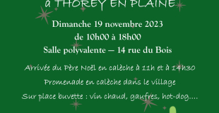Marché de Noël de Thorey-en-plaine (21)
