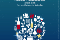 Les Hivernales de Salinelles 2023