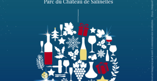 Les Hivernales de Salinelles 2023
