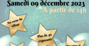 Brison St Innocent fête Noël