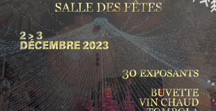 MARCHE DE NOEL DEAUVILLE NOCTURNE LE 2 