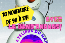 MARCHE DE NOEL  DE VICQ SUR NAHON