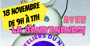 MARCHE DE NOEL  DE VICQ SUR NAHON