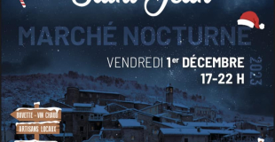 Marché de Noel nocturne 