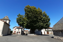 MARCHE DE NOEL Saint Santin Cantalès