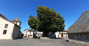 MARCHE DE NOEL Saint Santin Cantalès