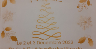 Salon de Noël 