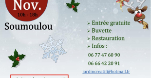 MARCHE DE NOEL A SOUMOULOU
