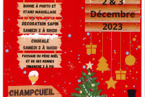 Marché de Noël 2023 à Champcueil (91)