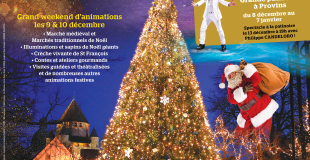 Noël à Provins