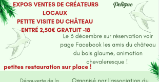 Marché de Noel du château du bois Glaume 35320