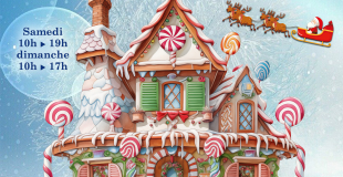 Marché de Noël de Villeneuve-sur-Yonne (89)