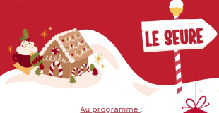 Marché de noel LE SEURE 17