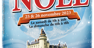 Marché de Noël au Château du Plessis Bourré