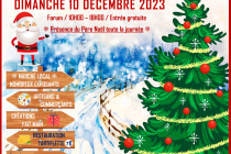 Marché de Noël de LIGUEIL (37)