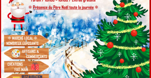 Marché de Noël de LIGUEIL (37)