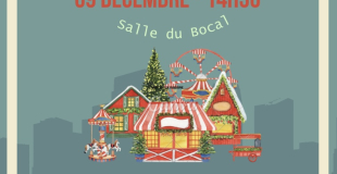 MARCHE DE NOËL - VILLEVIEUX 
