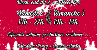 Marche de noel se LEDIGNAN 