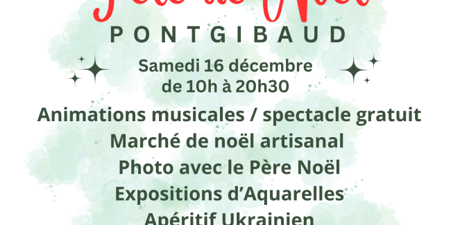 Puy-de-Dôme : que faire de son sapin après Noël ?