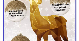 Marché de Noël 2023 d'Ambillou (37)