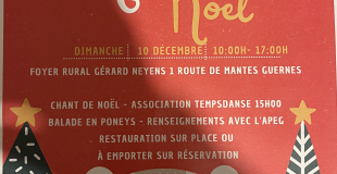 Marché de Noel de Guernes 78520