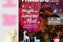 La Magie des lumières de Noël 2023 Grotte de TRABUC 30