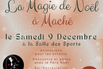 La magie de Noël 