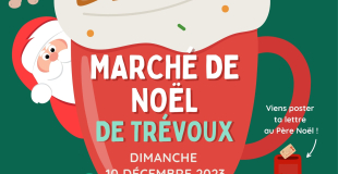 Marché de Noël de Trévoux (01600)