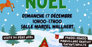 Marché de noel 2023 d'Eringhem (59470)