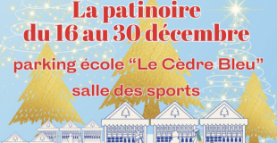 MARCHE DE NOEL 16/12/23 et PATINOIRE St-Sulpice et Cameyrac (33)