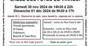 Marché de l'Avent 2024 de Vinneuf (89)