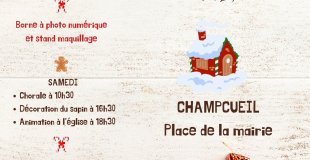 Marché de Noël à Champcueil
