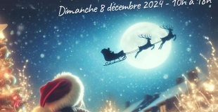 Village de Noël 2024 de Sainte-Maure-de-Touraine (37)