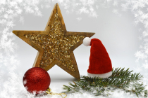 Marché de Noël de Pins-Justaret 2024