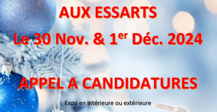 Marché de Noël Les Essarts 85