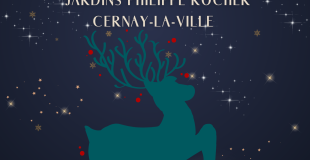 Merché de Noël de Cernay-la-Ville (78)