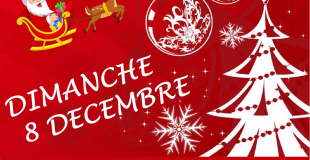 Marché de Noël d'Auteuil-Le-Roi (78770)