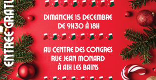 Marché de Noël 2024 de la chouette de l'espoir, AIX LES BAINS 73