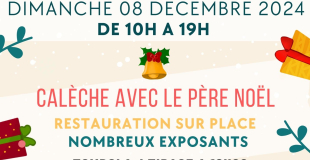 MARCHE DE NOEL2024 DE DAUMERAY 49640