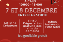 Marché de Noël au Domaine de la RESCLAUZE