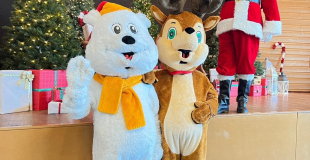 Marché de Noël 2024 de Dolomieu (38)