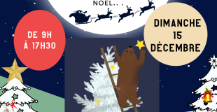 Marche de Noël de Montmein par API-MC