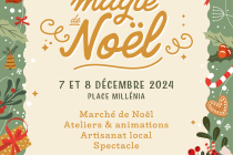 Marché de Noël et animations
